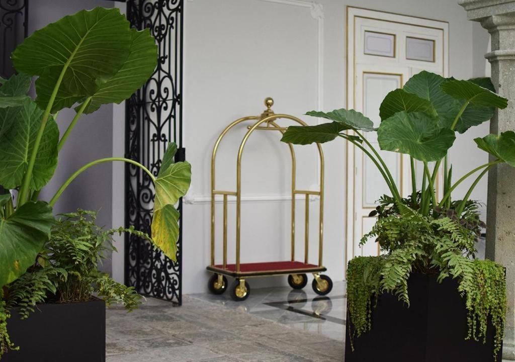Casa Hidalgo Hotel Boutique Oaxaca Ngoại thất bức ảnh